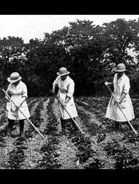 (16) Women in Parliament